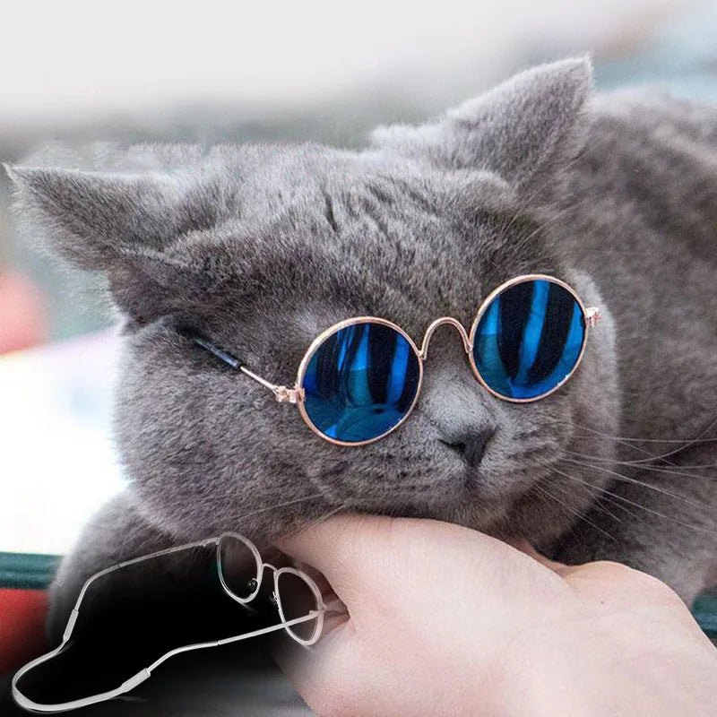 Pet Sunglasses Glasses for Cat Dog Glasses with Antiskid Belt Lovely Kitten Eye-Wear Lenses Cat Accessories Pet Party Decoration