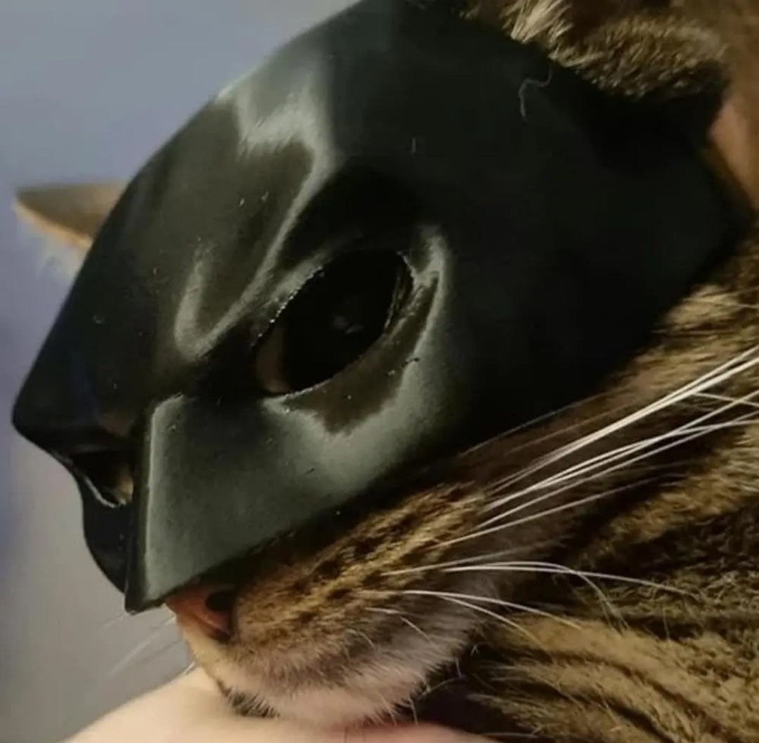 BATCAT Superhero- Batman Animal Mask