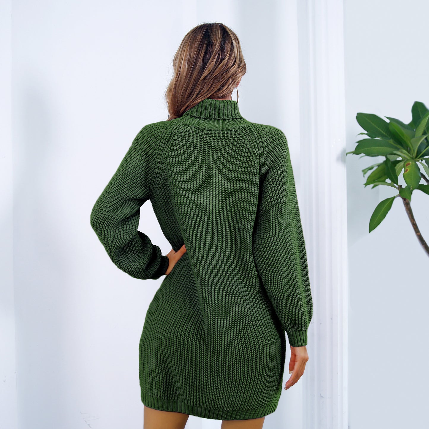 Turtleneck Sweater Dress