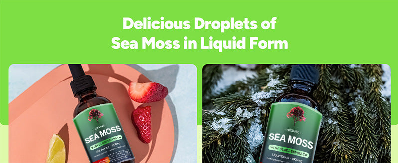 Sea Moss Liquid Drops