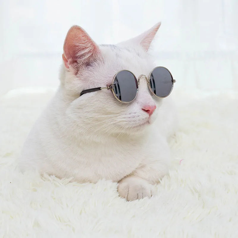 Pet Sunglasses Glasses for Cat Dog Glasses with Antiskid Belt Lovely Kitten Eye-Wear Lenses Cat Accessories Pet Party Decoration