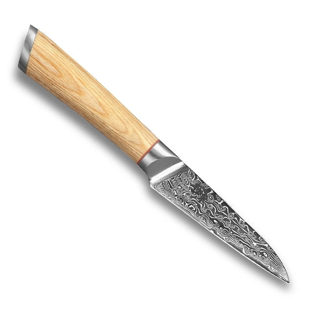 Professional Knive Set Elevate Your Culinary Experience with the 67-Layer Steel V Gold 10 Damascus Kitchen Knives