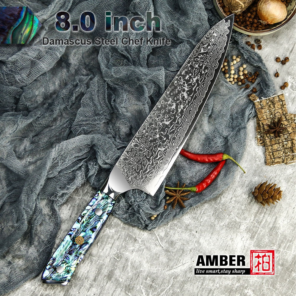 Professional Damascus VG 10 Steel Core 67 layers stainless steel Abalone handle kitchen knives set