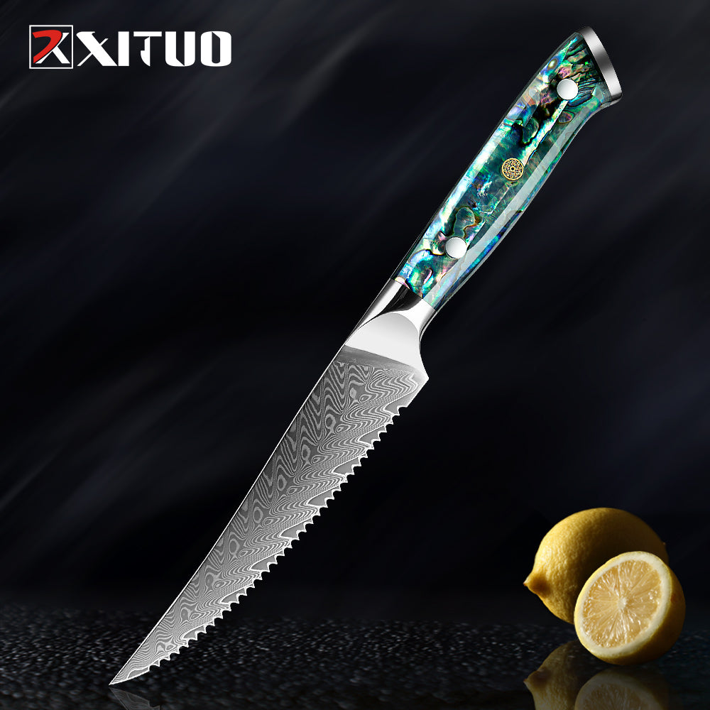 XITUO Damascus Steel knife Set Kitchen Cooking Tools Chef Knife Japanese Santoku Knives Boning knife Exquisite Shell Handle