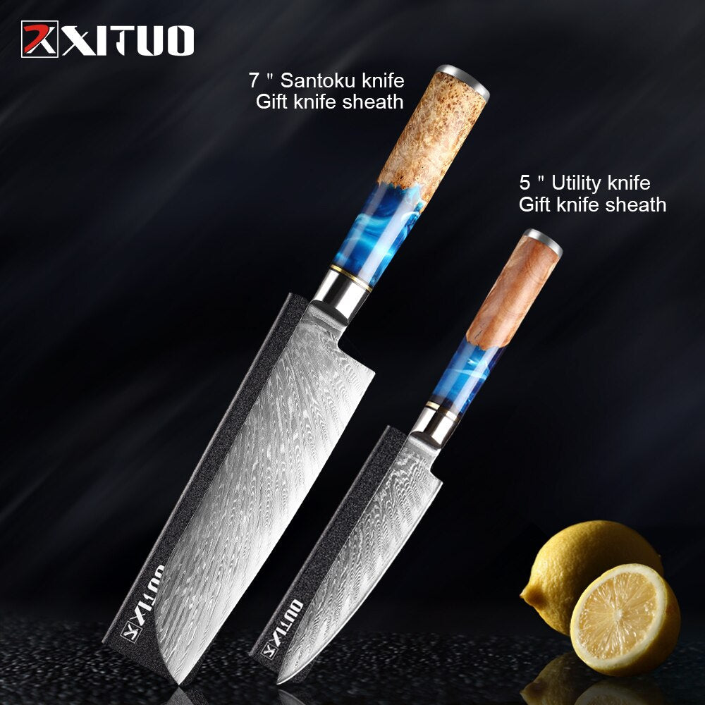 XITUO Kitchen Knives-Set Damascus Steel VG10 Chef Knife Cleaver Paring Bread Knife Blue Resin and Color Wood Handle Cooking Tool