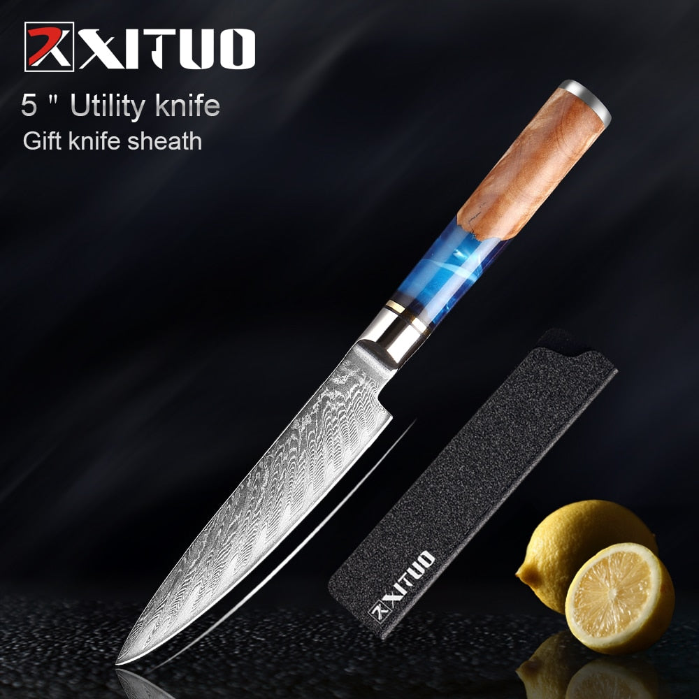 XITUO Kitchen Knives-Set Damascus Steel VG10 Chef Knife Cleaver Paring Bread Knife Blue Resin and Color Wood Handle Cooking Tool