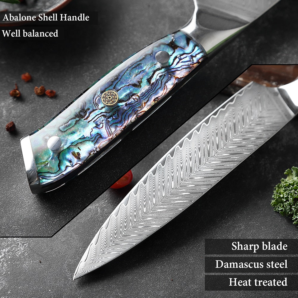 XITUO Damascus Steel knife Set Kitchen Cooking Tools Chef Knife Japanese Santoku Knives Boning knife Exquisite Shell Handle