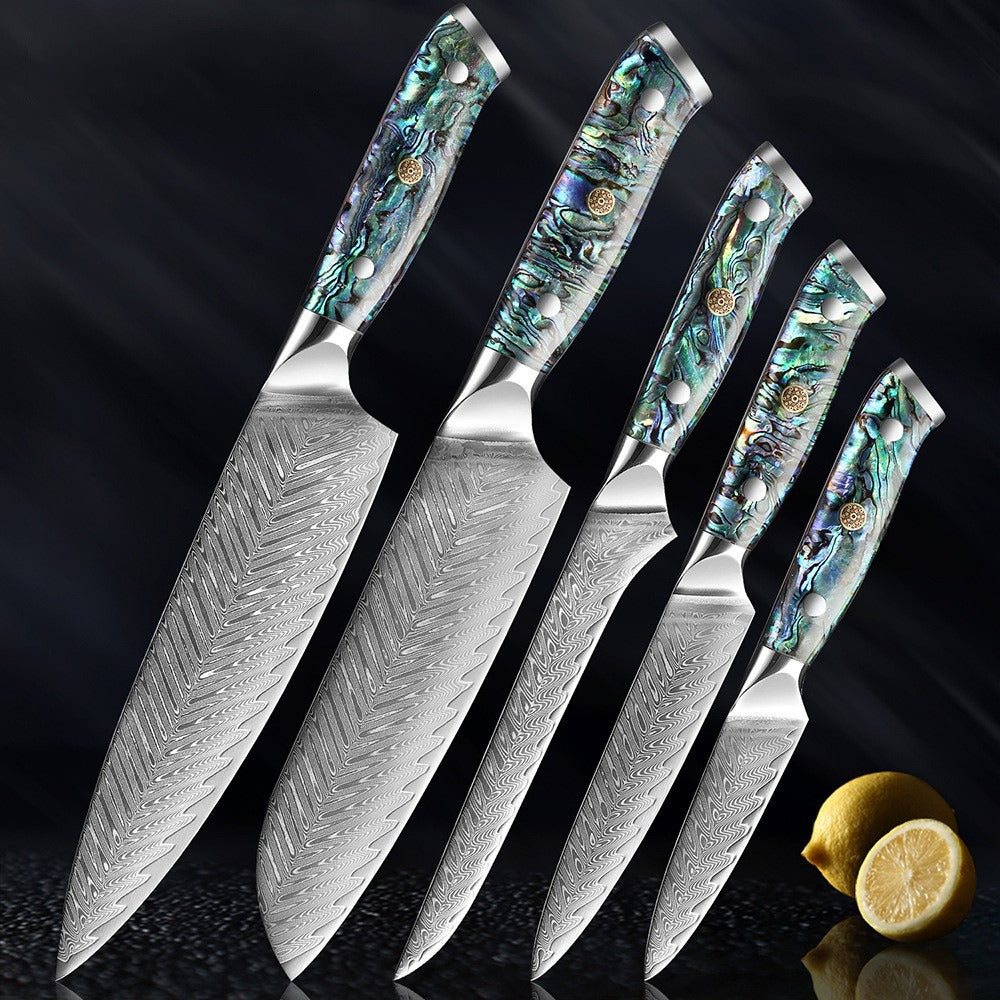 XITUO Damascus Steel Chef Knife Set Fine1-5 PCS Kitchen Knives Abalone shell handle Santoku knife