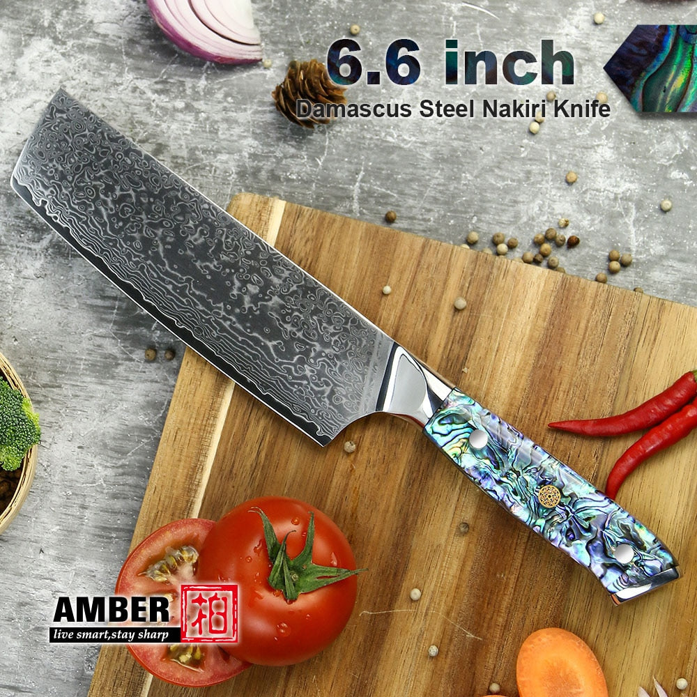 Professional Damascus VG 10 Steel Core 67 layers stainless steel Abalone handle kitchen knives set